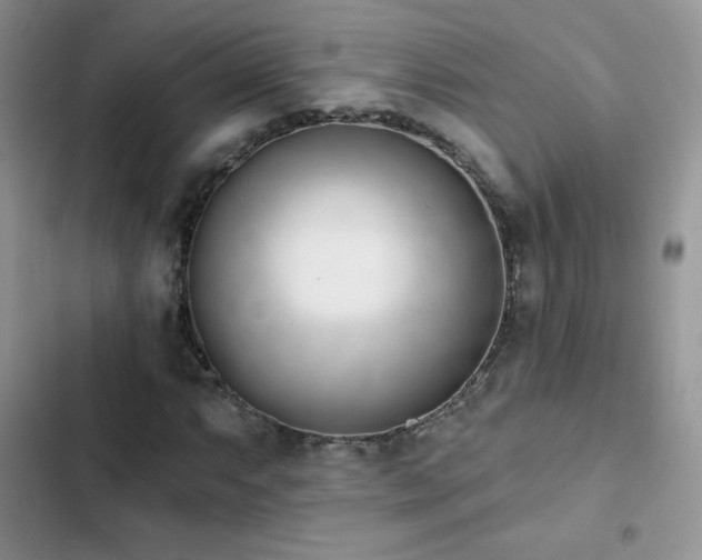 X0000102871063200808181501