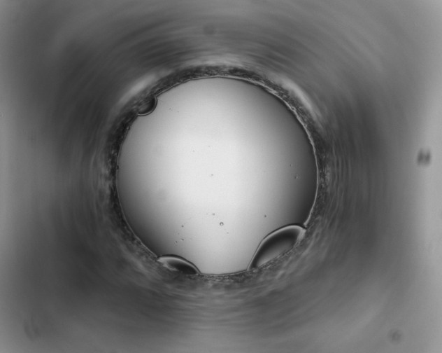 X0000102871064200808181501