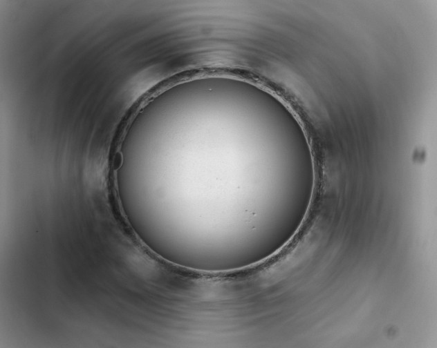 X0000102871065200808181501