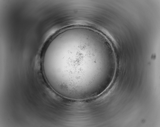 X0000102871067200808181501