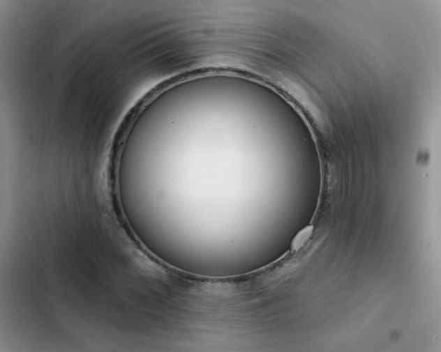 X0000102871068200808181500