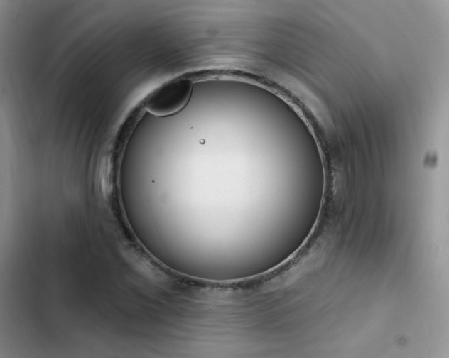 X0000102871069200808181500