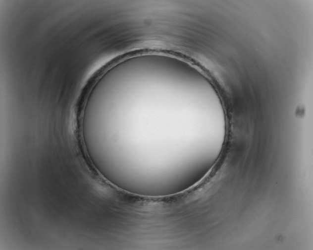 X0000102871070200808181500