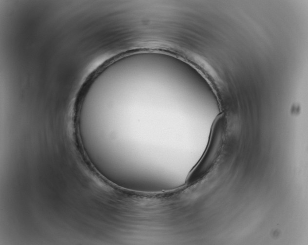 X0000102871071200808181500
