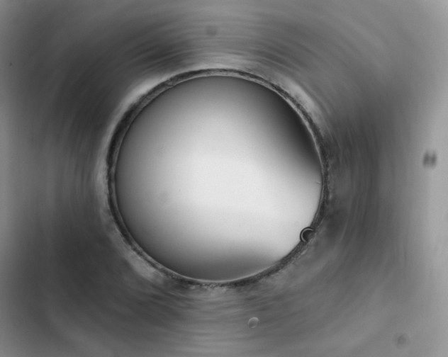 X0000102871072200808181500