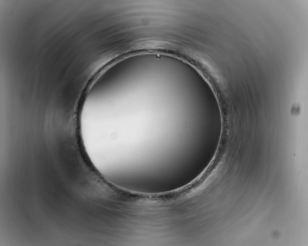 X0000102871073200808181500