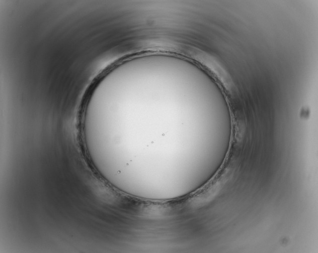 X0000102871074200808181500