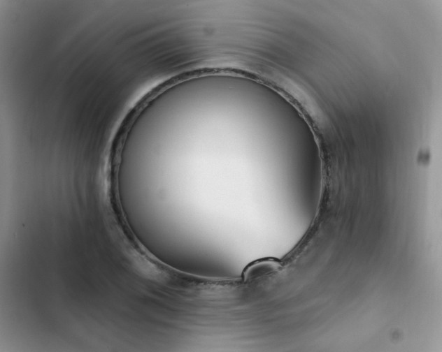 X0000102871076200808181500