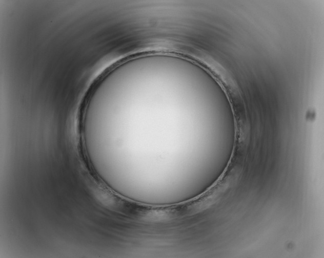 X0000102871078200808181500