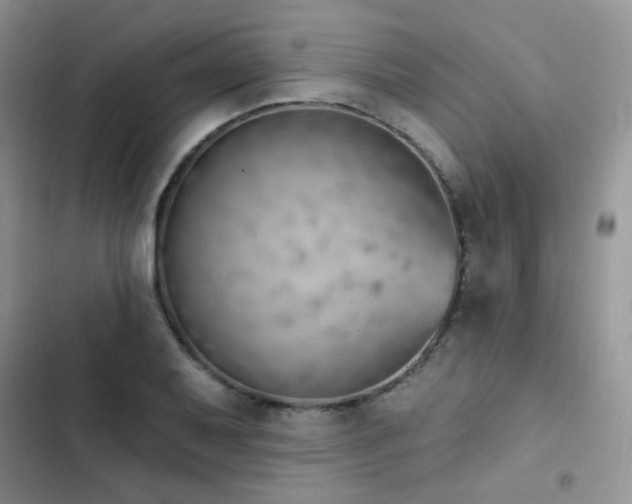 X0000102871079200808181500