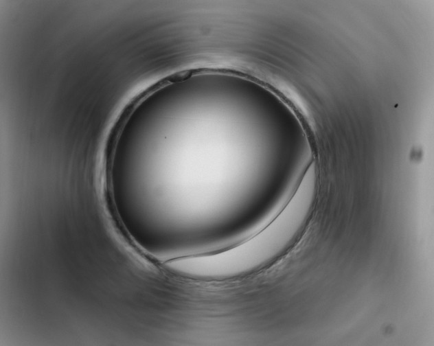 X0000102871080200808181500