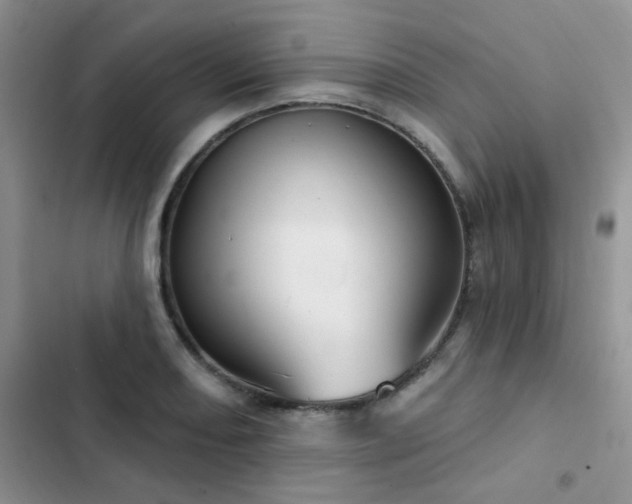 X0000102871082200808181500