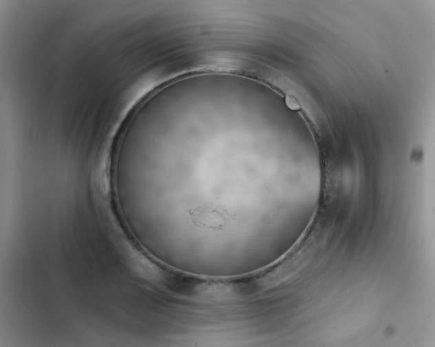 X0000102871083200808181500
