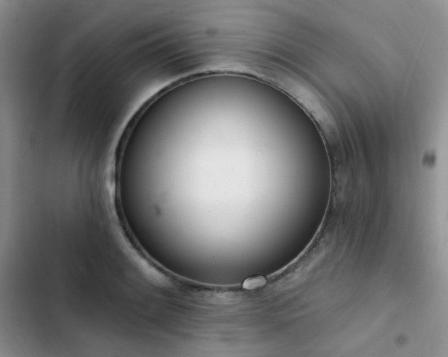 X0000102871084200808181500