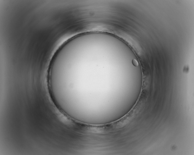 X0000102871086200808181500