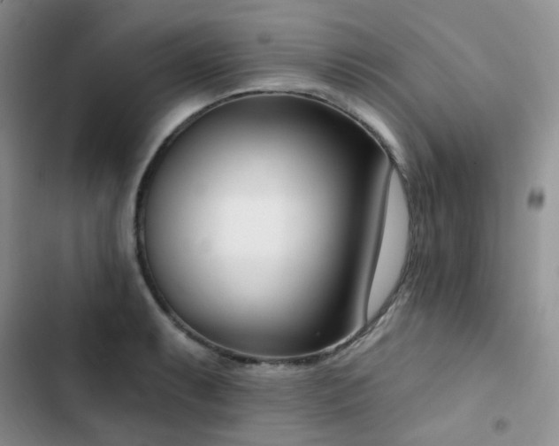 X0000102871087200808181500