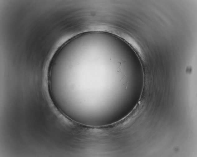 X0000102871088200808181500