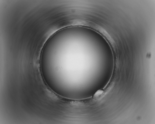 X0000102871089200808181500