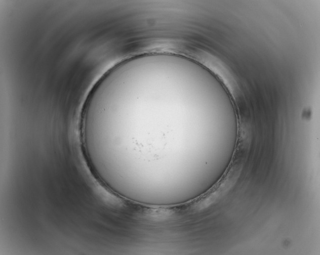 X0000102871090200808181500