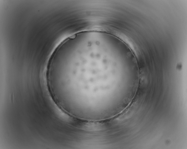 X0000102871091200808181500