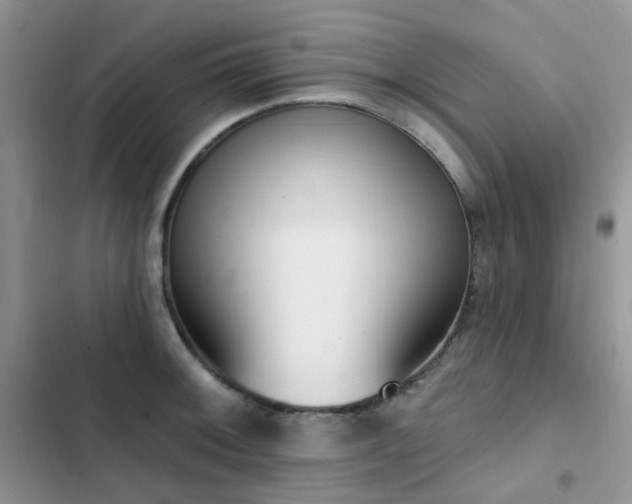 X0000102871092200808181500