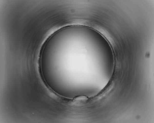 X0000102871093200808181500