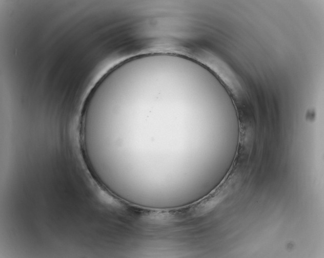X0000102871094200808181500