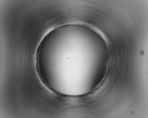 X0000102871095200808181500