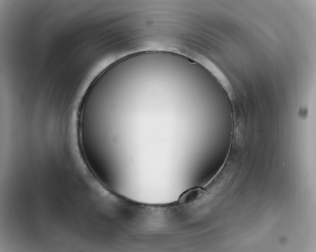 X0000102871096200808181500