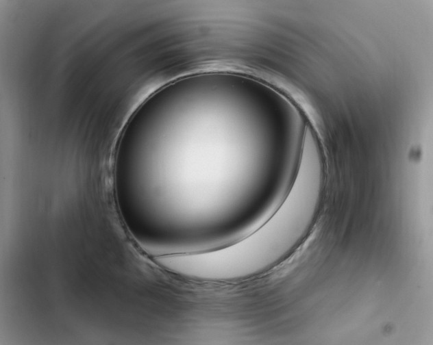 X0000102871097200808181500