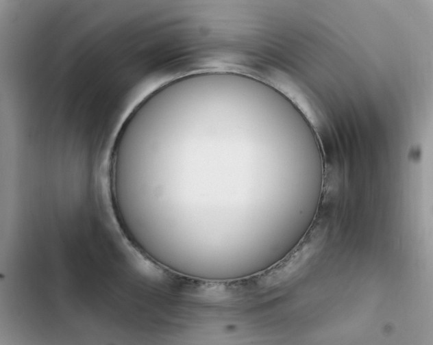 X0000102871098200808181500