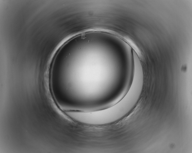 X0000102871100200808181500