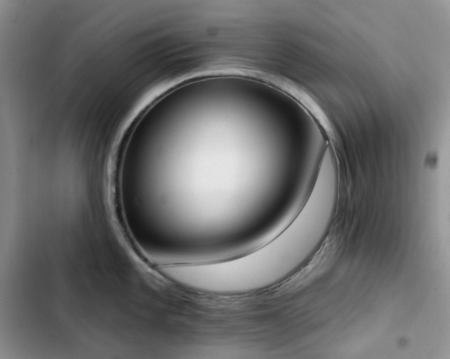 X0000102871101200808181500