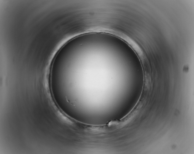 X0000102871102200808181500