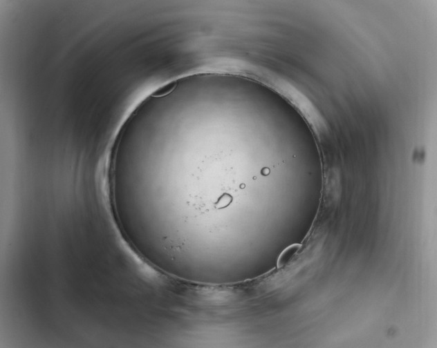 X0000102871103200808181500