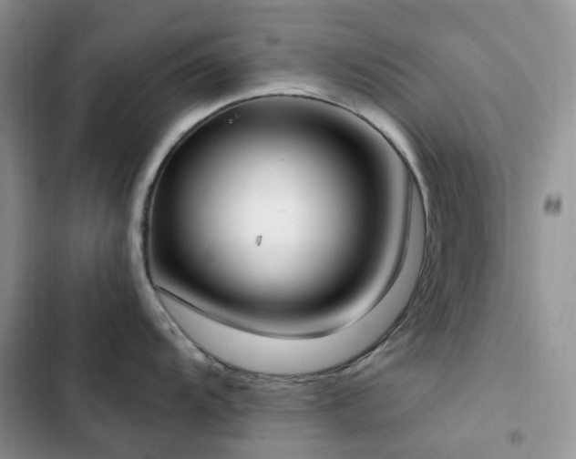 X0000102871104200808181500
