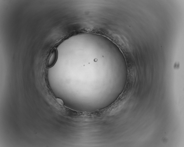 X0000102871105200808181459