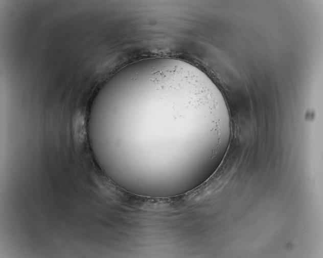 X0000102871106200808181459