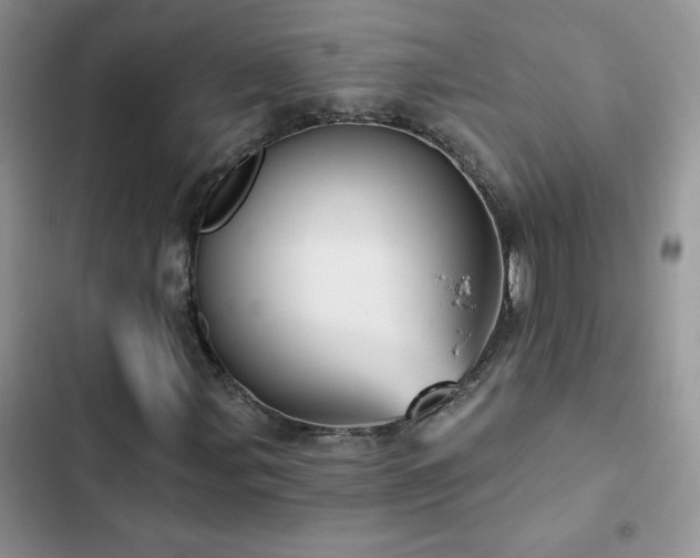 X0000102871107200808181459