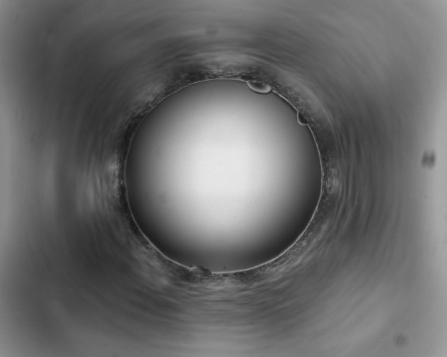 X0000102871108200808181459