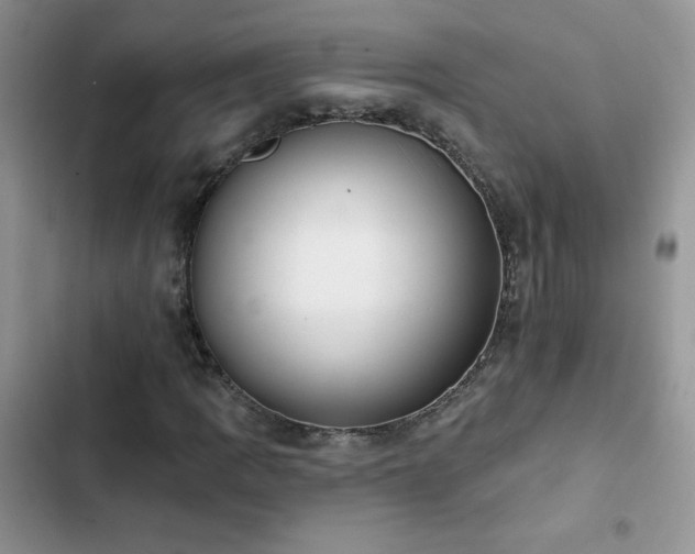 X0000102871109200808181459