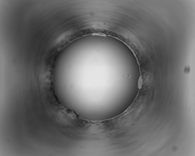 X0000102871110200808181459