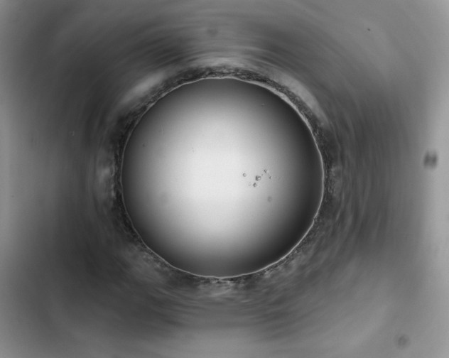 X0000102871111200808181459