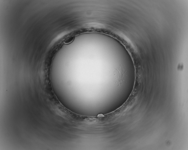 X0000102871112200808181459