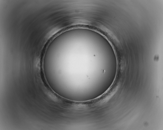 X0000102871113200808181459
