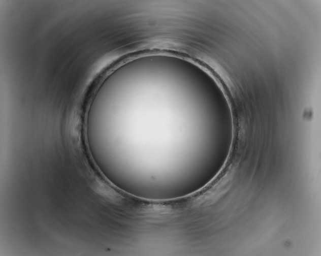 X0000102871115200808181459