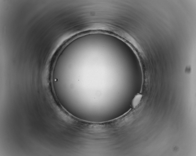 X0000102871116200808181459