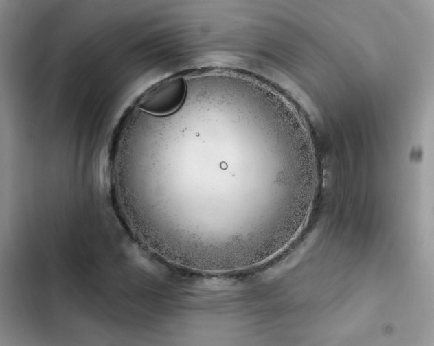 X0000102871117200808181459