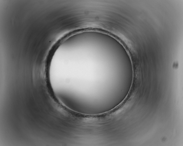 X0000102871118200808181459