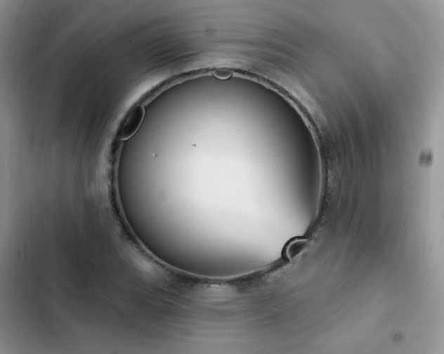 X0000102871119200808181459